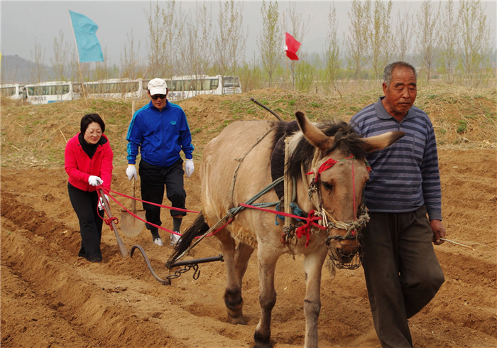 中国信保举办春耕活动（2013）