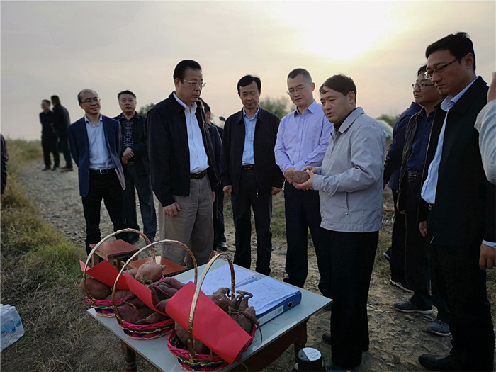 中国信保有关领导率团赴安徽省霍邱县调研并开展相关扶贫工作(2018)