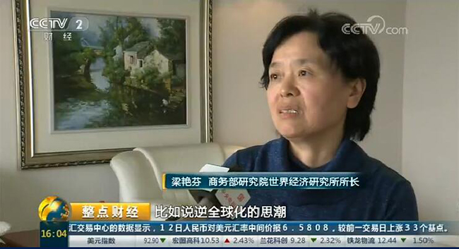 央视财经频道：《2017国家风险分析报告》发布