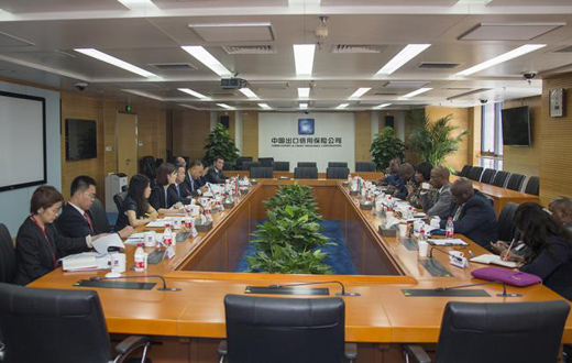 为中非合作搭建信用之桥——中国信保积极参与中非合作论坛北京峰会