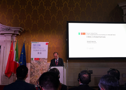 中国信保董事长宋曙光出席中国—意大利第三方市场论坛并致辞
