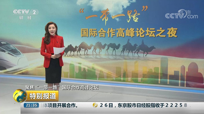 央视财经频道采访王廷科总经理